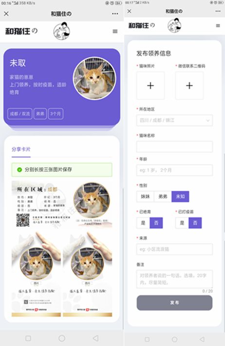 最新流浪猫流浪狗H5源码完整版 可封装APP