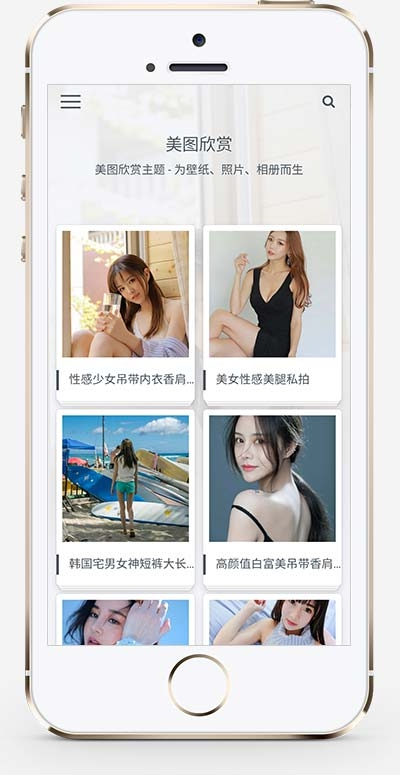 简约大气 图片美图网站/图片相册类网站源码 织梦模板 自适应手机版