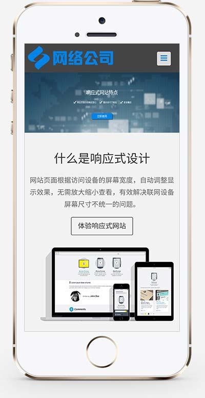 互联网 IT企业网站 网络科技建站网站 dedecms织梦模板 自适应手机版 互联网 IT企业网站 网络科技建站网站 dedecms织梦模板 自适应手机版