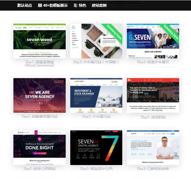 wordpress主题The7_ v9.40 可视化建站最新汉化版 带秘钥