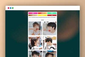 Wallpaper：基于Typecho的壁纸头像站主题