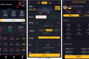 玖胜国际点位盘完整源码/时间盘双位盘+行情+脚本齐全
