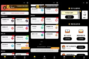 黑色简约多功能工具箱去水印外卖流量主小程序源码